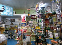 Wild Bird Feeders & Birdbaths