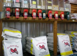 Wild Bird Seed, Suet, & Nectar