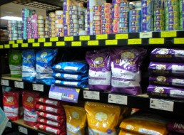 Cat Food & Treats