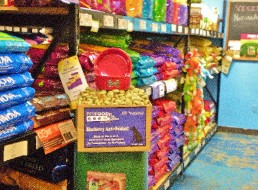 Dog Food, Treats, & Bowls