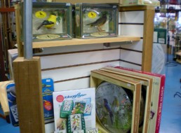 Gifts for Wild Bird Lovers