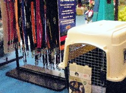 Dog Leashes, Collars, & Crates/Kennels