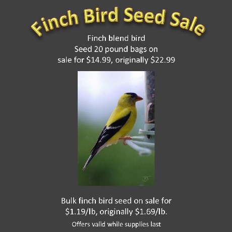 Finch Bird Seed Sale
