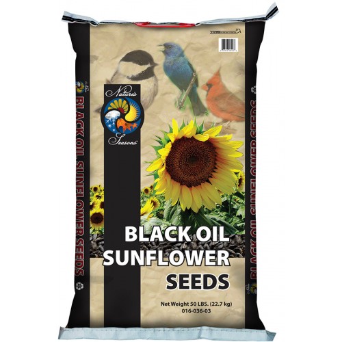 Nature's Seasons® Black Oil Sunflower Seeds