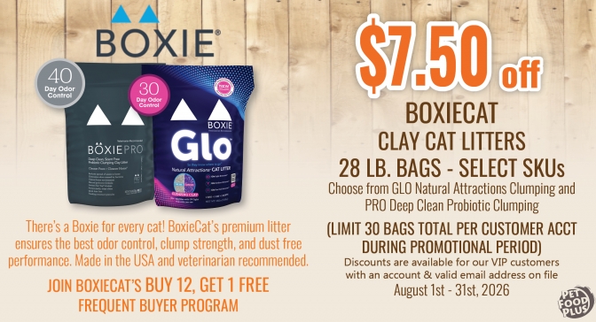 boxiecat_clay_aug2026_email