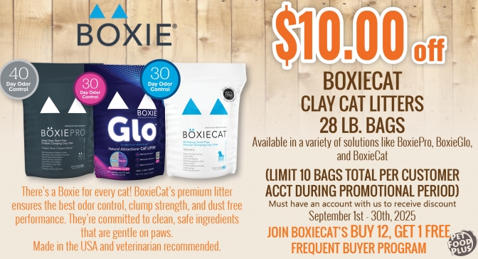 boxiecat_sep2025_email.jpg
