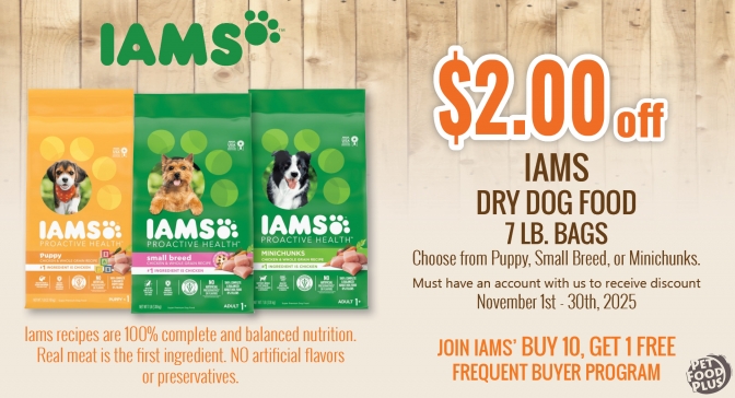 iamssmbagsdog_nov2025_email