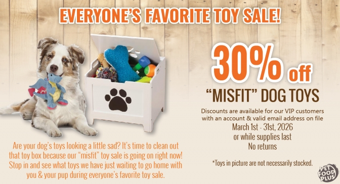 misfittoysale_mar2026_email