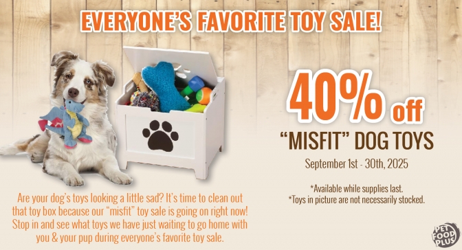 misfittoysale_sep2025_email.jpg