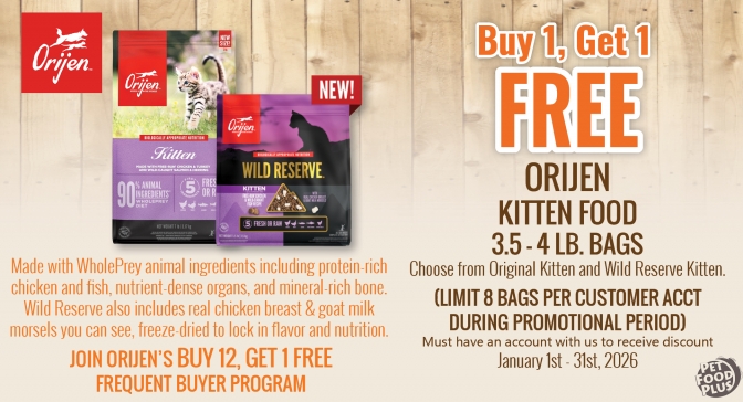 orijendrykittenfood_jan2026_email