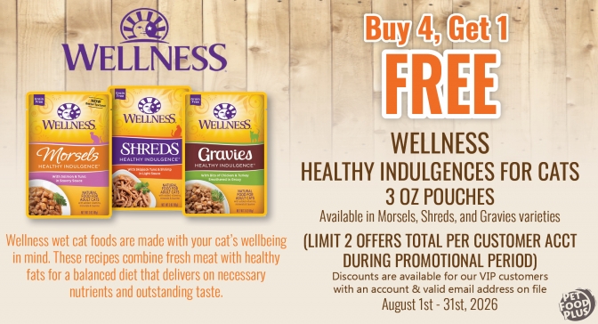 wellnesscat_healthyindulgences_aug2026_email